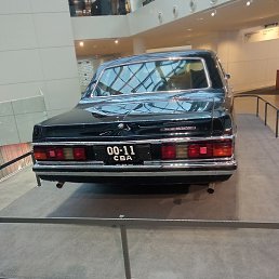 ������, ������, 37 ���