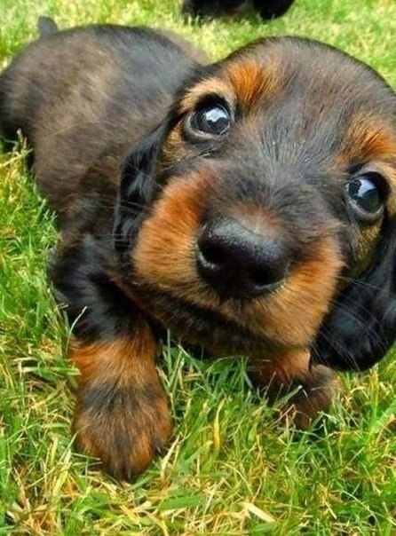 ����� �������� � �����, ���� ������ ������ ���. � �. ������� - 3