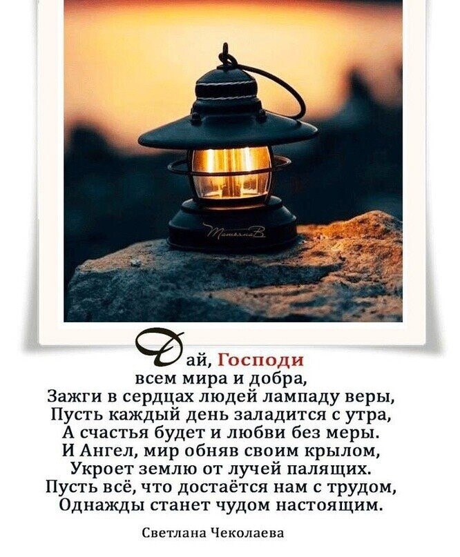   - 11  2025  06:18