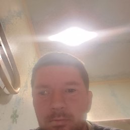 ���� �������, ���������, 33 ���� - ��������� 27 ������� 2025