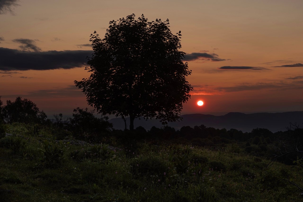 e���� pacc�e� � �opa� a��a�a. �occ��, pec������a ����e�, pac�o�apc��� �pa�, �p�po���� �ap� �o���o� ... - 2