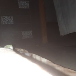 Ayankhan, ����, 89 ���