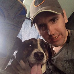 ����, �����������, 37 ���