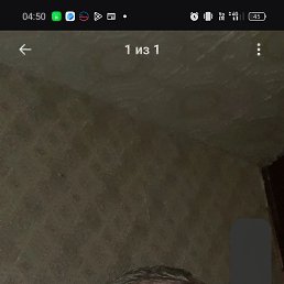 ���� �������, ������, 37 ��� - ��������� 27 ������� 2026