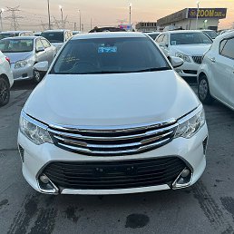 �������, �����������, 43 ����