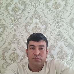 ����, 40 ���, �������