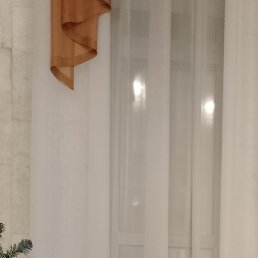 �������, ����, 50 ���