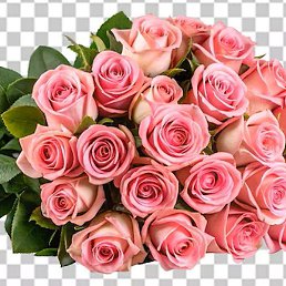 ��������, �����������, 42 ����