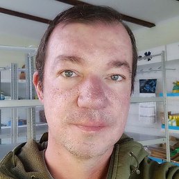 ������, ���������, 41 ���