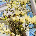 ���� �������, ������� - ��������� 1 ��� 2026 � ������ �������