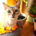 ���� Uegenia, ʸ���, 65 ��� - ��������� 6 ������� 2025 � ������ ������ ��������
