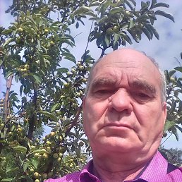 , 61, 