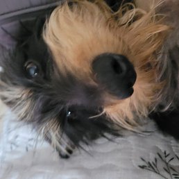 ����, �����-���������, 64 ����