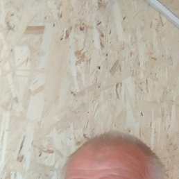 , 61, 