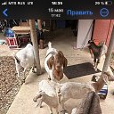 ���� �������, ������, 54 ���� - ��������� 11 ���� 2026