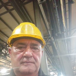 , 61 , 