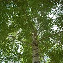 ������������� 2010 ������ �� ������� ���������