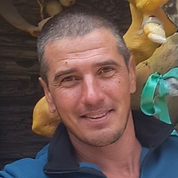 ����, ������, 35 ���