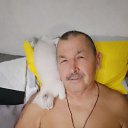   , , 62  -  29  2025    