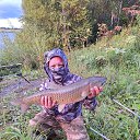 ���� ����, ��������, 36 ��� - ��������� 3 ������ 2026 � ������ ���� ����������