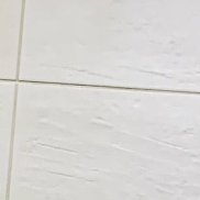 �����, 24 ����, ���������