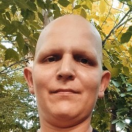 �����, ������, 37 ���