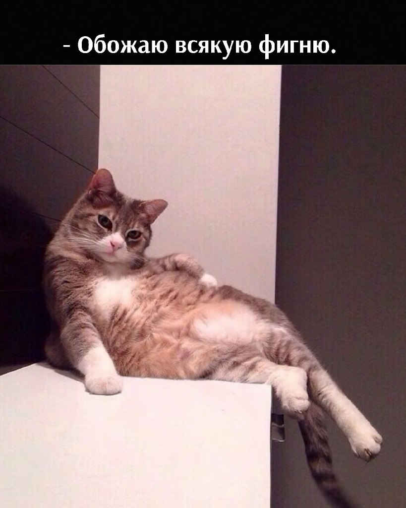       - 14  2025  16:28
