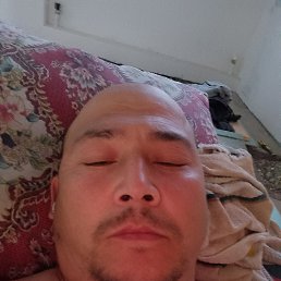 , 39, 