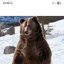 ���� ����, ������, 45 ��� - ��������� 18 ����� 2026 � ������ ���� ����������
