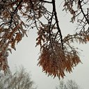 ���� ����,��� �������...., ������ - ��������� 4 ������ 2024 � ������ ������ ��������
