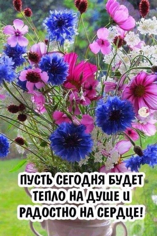   ,    . - 18  2024  22:57