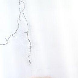 ������, ������, 56 ���