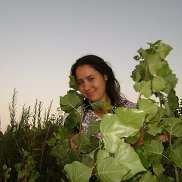, 35 , 