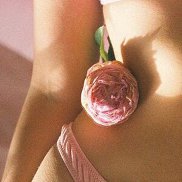 ��������, 29 ���, �����������