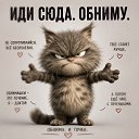 ���� ����, ������ - ��������� 13 ���� 2026 � ������ ������ ��������