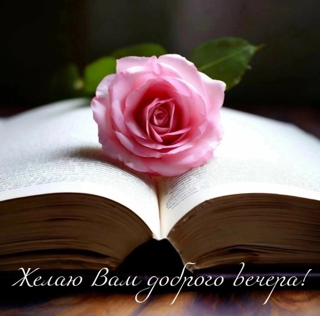   ,    . - 26  2025  16:38