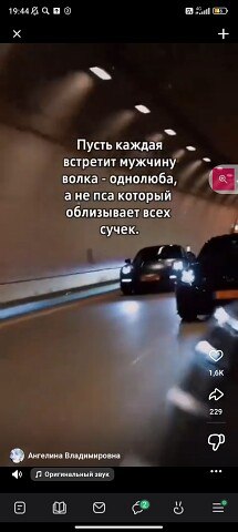 ���� �����, ����, 43 ���� - ��������� 7 ��� 2026