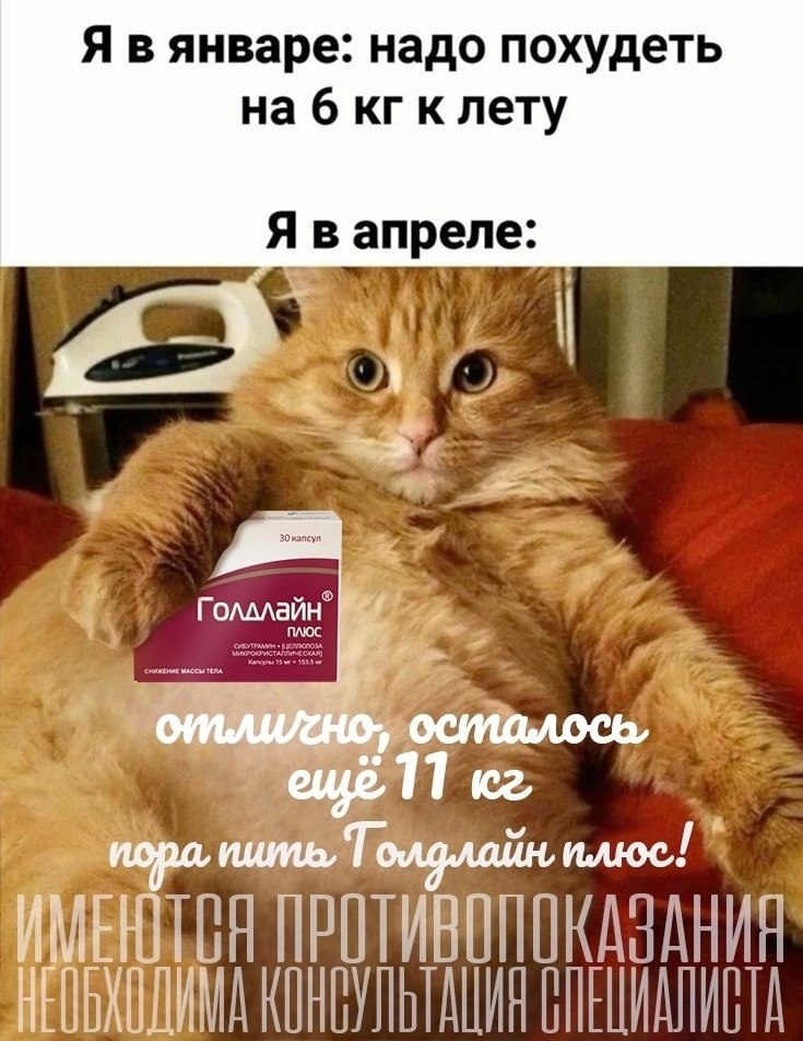   - 1  2025  09:41
