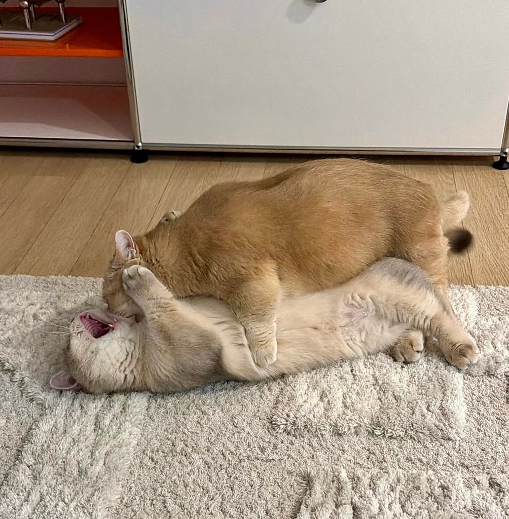 �� �������� ����� �� ����� - ���� ���� - 4