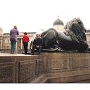 ���� ���������, ������, 81 ��� - ��������� 9 ������� 2024 � ������ ���� ����������