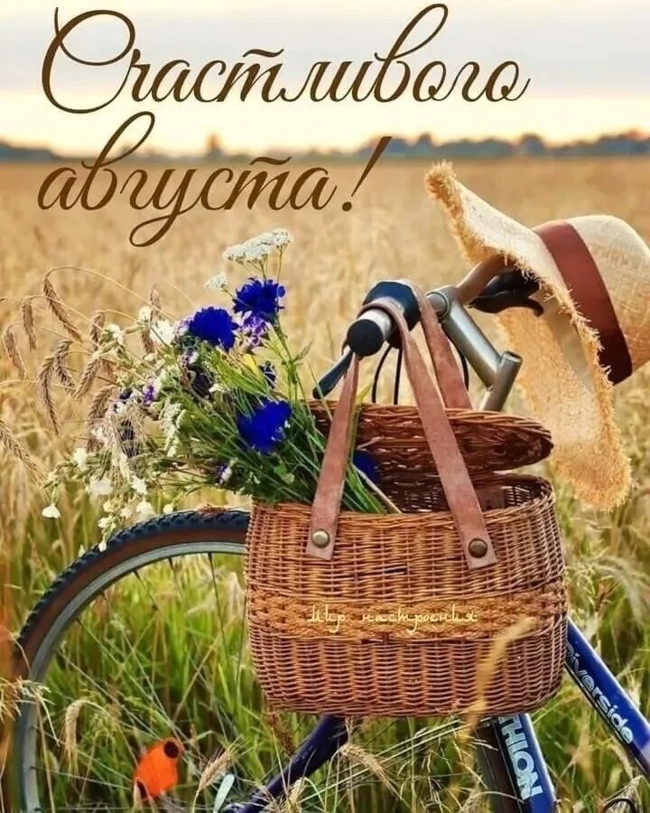           ,      ...
