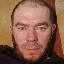 ����, ���������, 41 ���