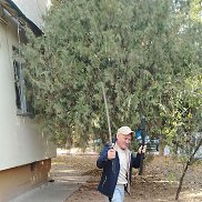 �������, 44 ����, �������