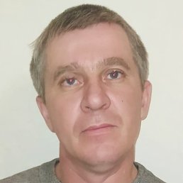 ������, ����������, 44 ����