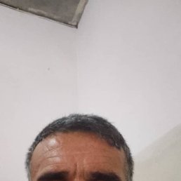 , 42, 