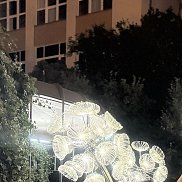 , 48 , 