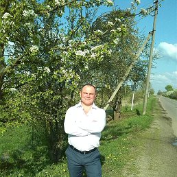 , 39, 