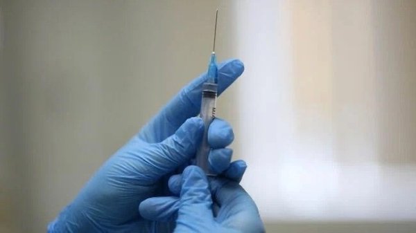 Доклинические испытания российской онковакцины демонстрируют, что после использования препарата ...