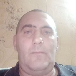 �������������, ����������, 46 ���