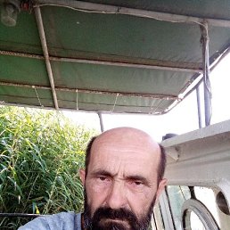 , 59, 